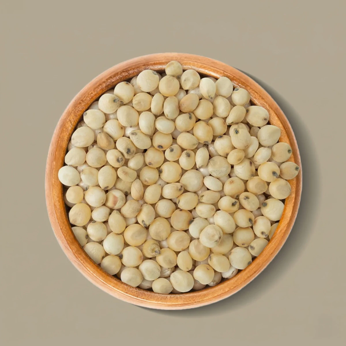 Sorghum